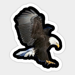 Eagle Sticker